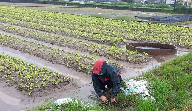 Hình ảnh 1