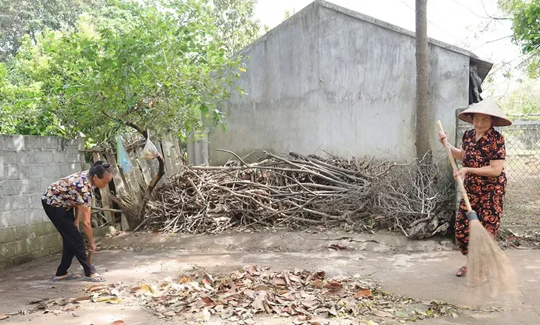 Hưng Yên tăng cường phòng, chống sốt xuất huyết sau bão số 3