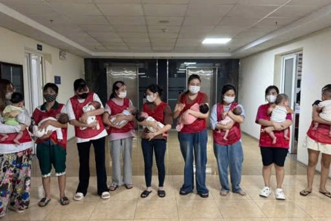 Ninh Bình: giải cứu thành công 11 trẻ được sinh ra từ những người mang thai thuê