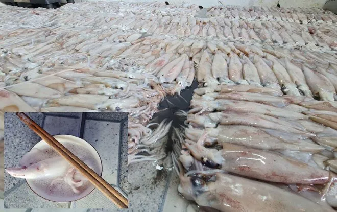 Hình ảnh 2