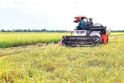 Khởi tố nam thanh niên bảo kê máy gặt tại Hưng Yên
