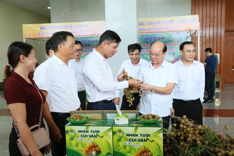 Hưng Yên xúc tiến tiêu thụ nhãn và nông sản năm 2025