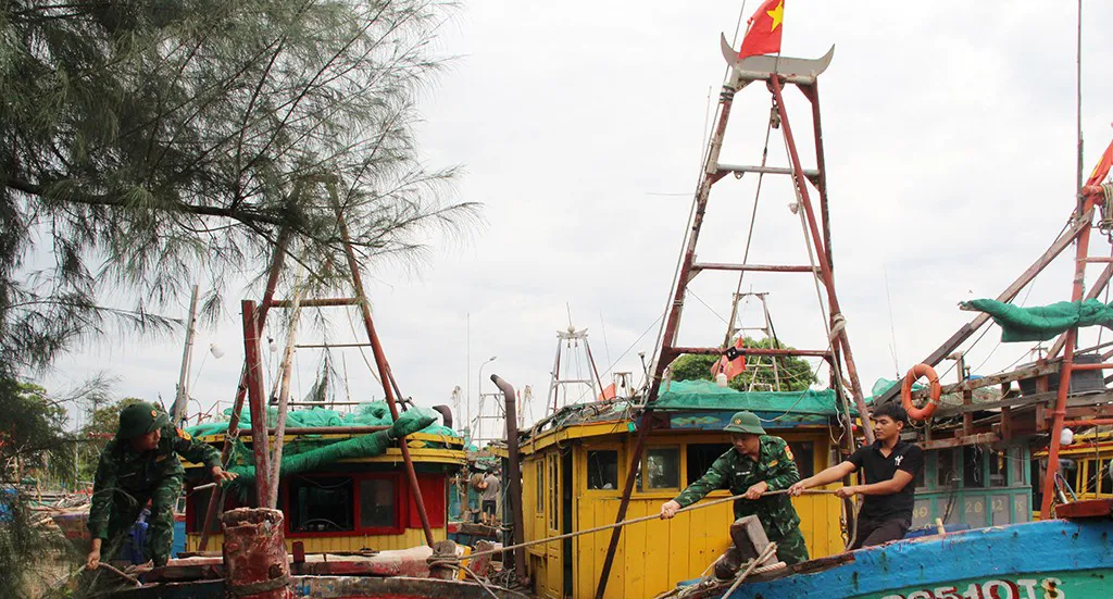 Hình ảnh 1