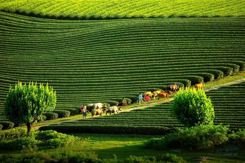 Du lịch nghỉ dưỡng kết hợp giải trí: hướng đi mới cho Sơn La

