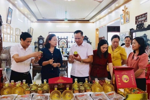 Nam Định: tăng sức cạnh tranh cho nông sản từ chuỗi liên kết hợp tác xã