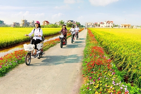 Nam Định phát huy sức dân, tạo bứt phá trong xây dựng nông thôn mới