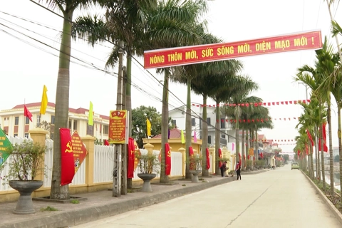 Ninh Bình bứt phá xây dựng nông thôn mới: Từ khó khăn đến thành công