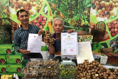 Hưng Yên nâng cao giá trị nông sản, hướng đến thị trường quốc tế