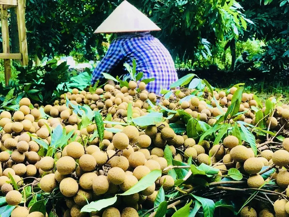 Hình ảnh 2