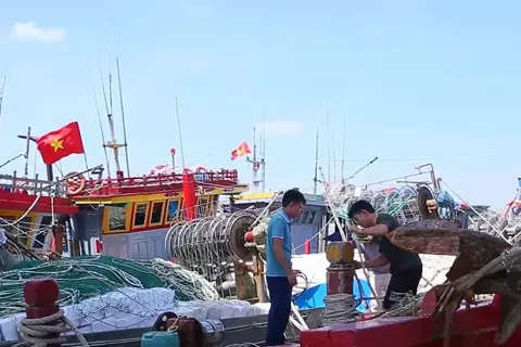 Ninh Bình: tăng cường lãnh đạo, chỉ đạo ứng phó bão số 11 (MATMO)