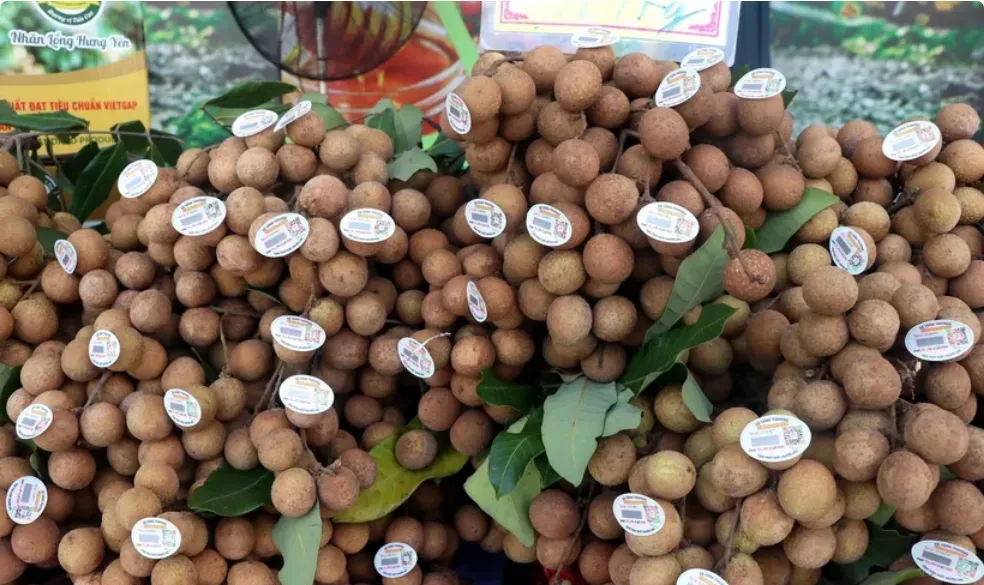 Hành trình nâng giá trị nông sản Hưng Yên