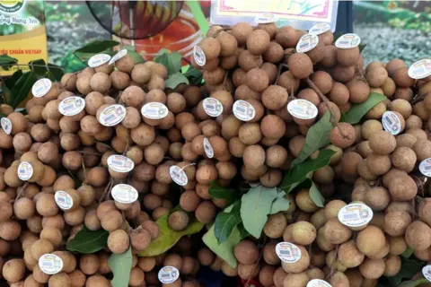 Hành trình nâng giá trị nông sản Hưng Yên
