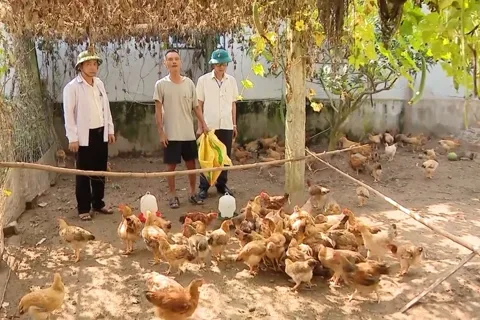 Ninh Bình đẩy mạnh giảm nghèo gắn với xây dựng nông thôn mới