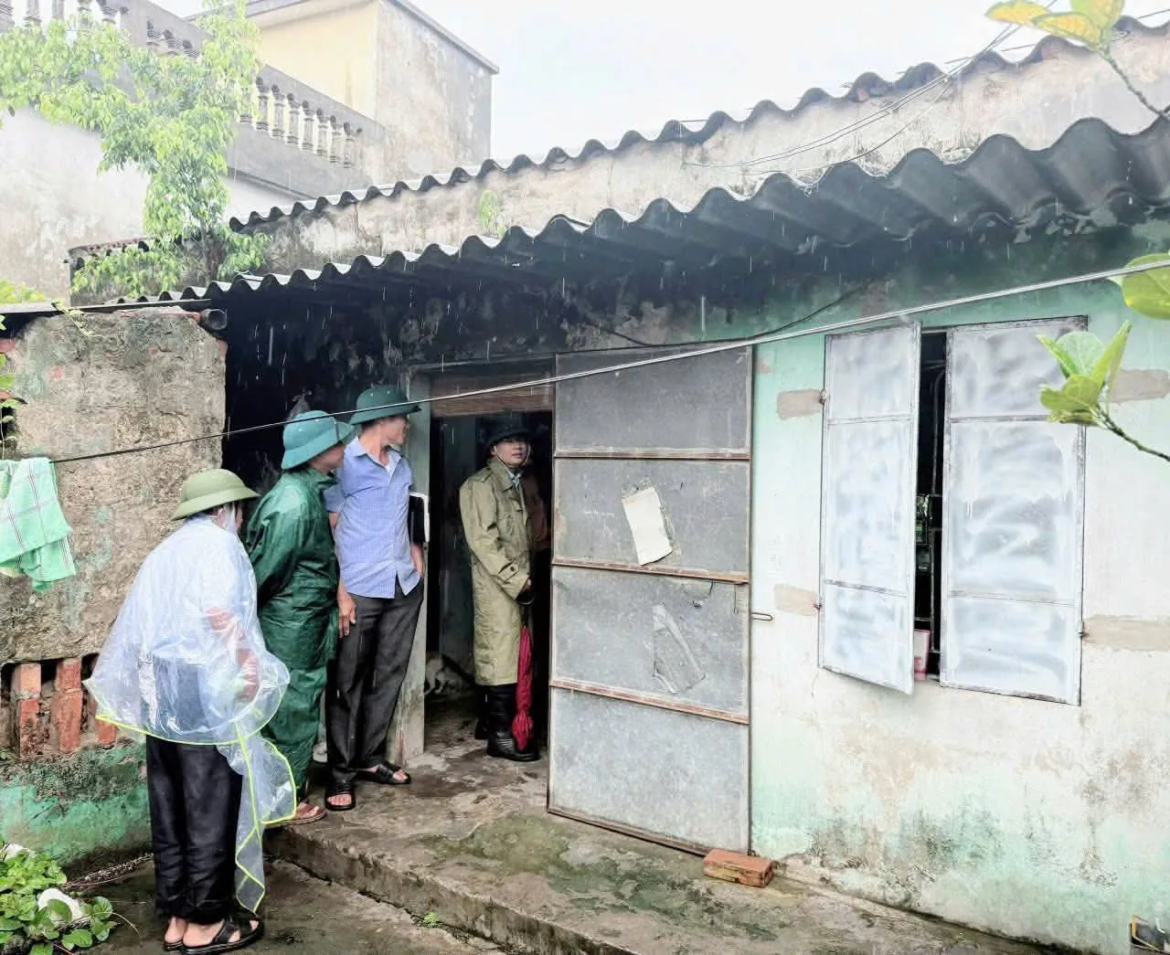 Hình ảnh 2