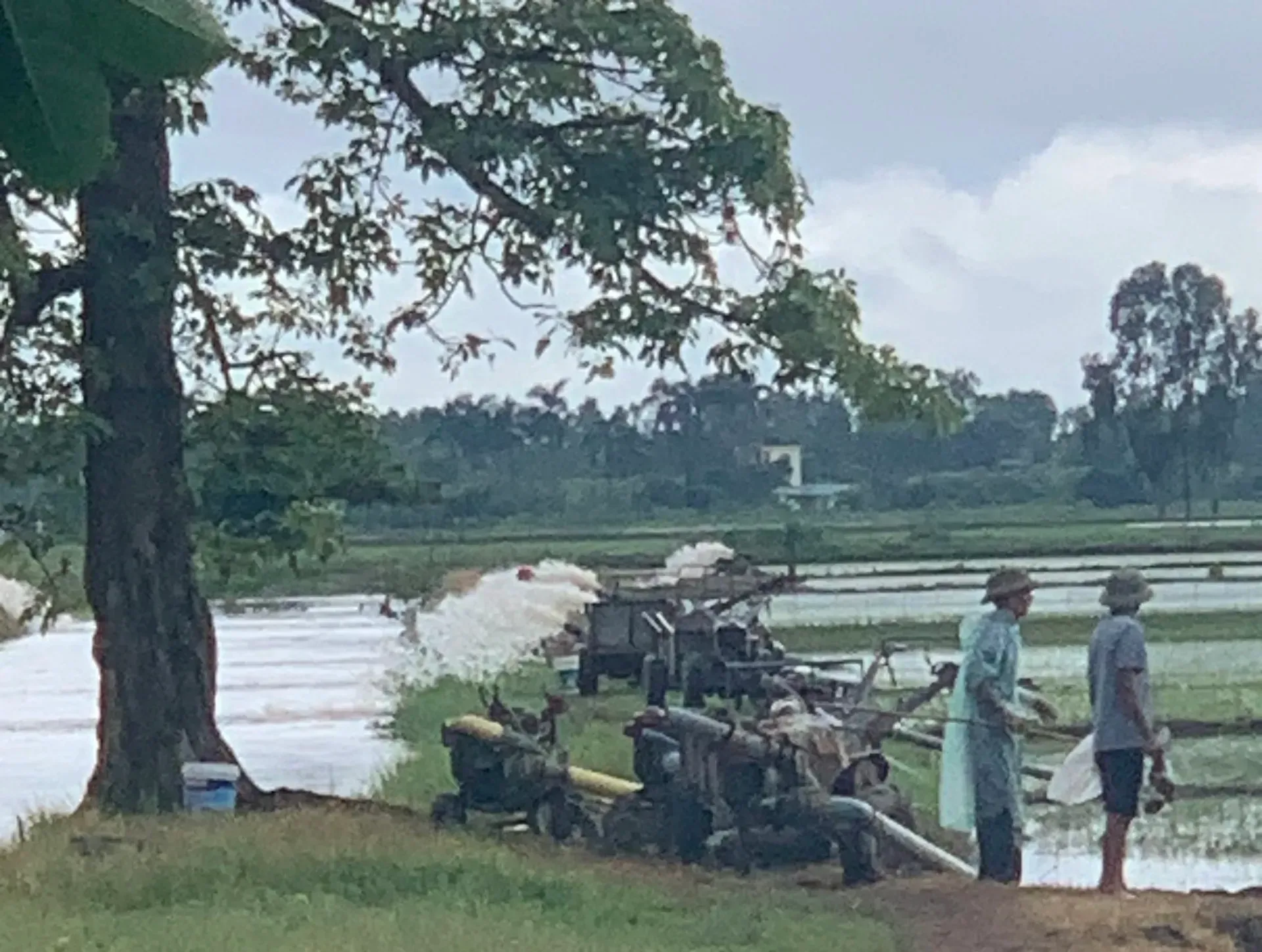 Hình ảnh 2