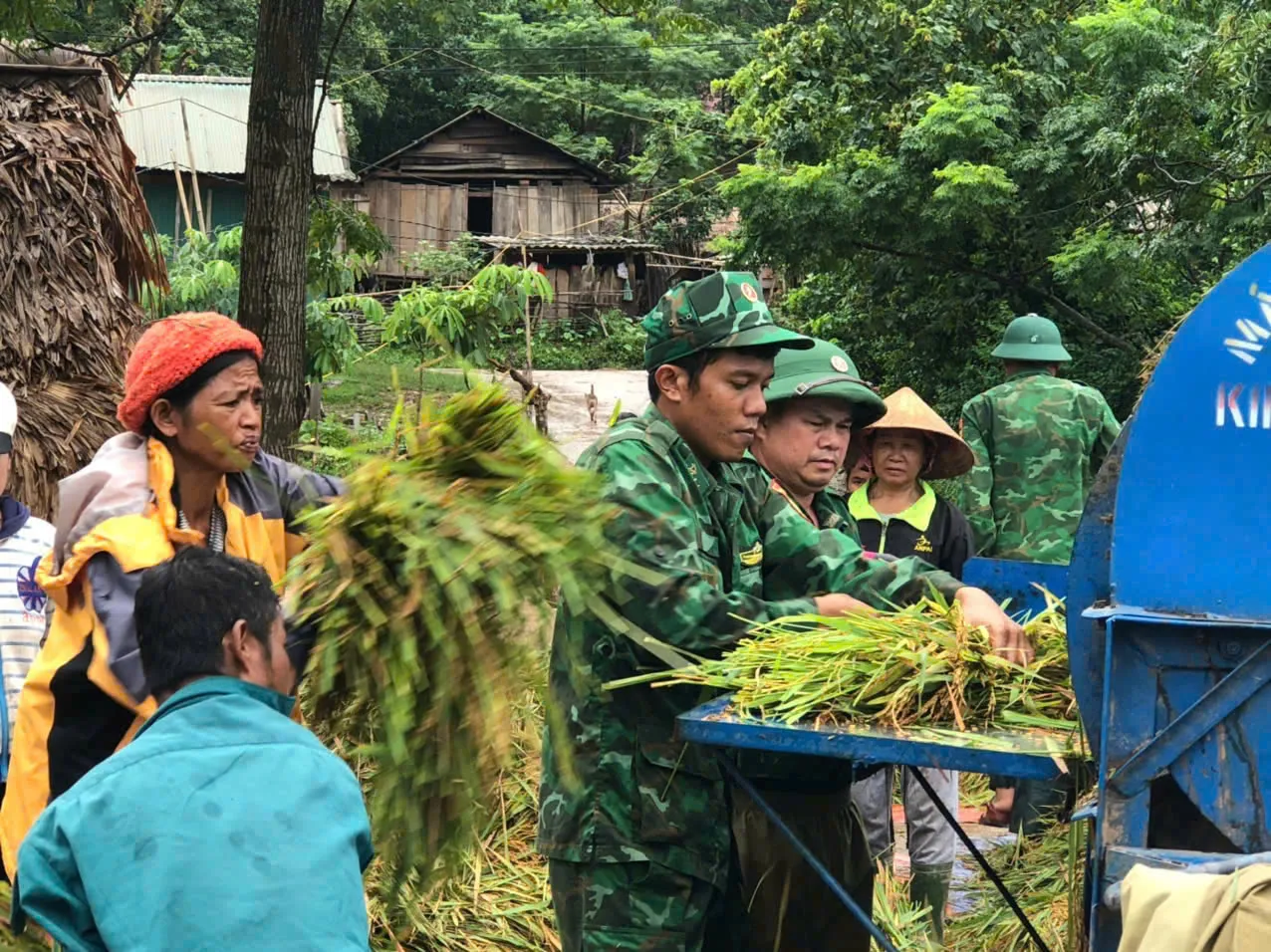 Hình ảnh 3