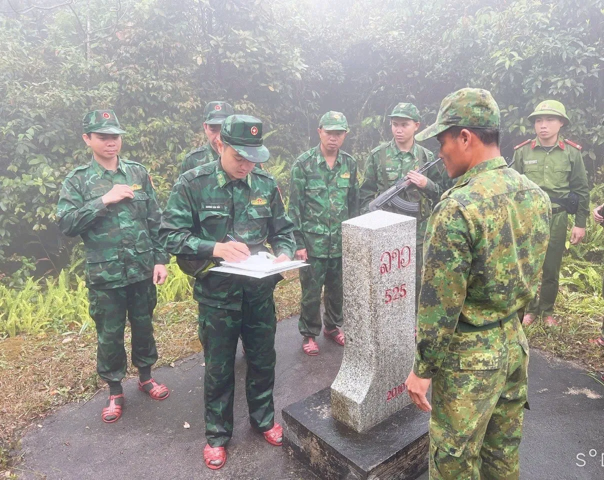 Hình ảnh 2