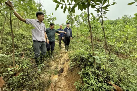 Đà Nẵng: đề xuất phương án di dời, bố trí tái định cư cho các hộ dân tại xã La Dêê