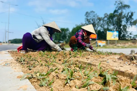Đà Nẵng: chạy đua hoàn thiện tuyến đường trọng điểm Võ Chí Công