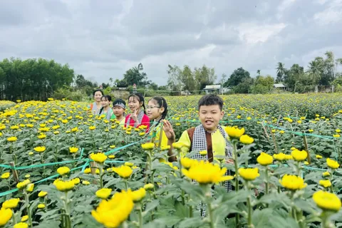 Đà Nẵng: nuôi dưỡng làng hoa truyền thống Hà Đông 