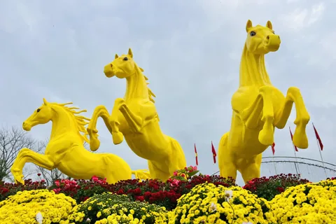 Đà Nẵng: ngựa vàng "phủ sóng" trang trí Tết Bính Ngọ 2026