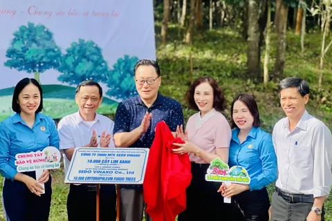 Đà Nẵng hưởng ứng Tết trồng cây đầu Xuân Bính Ngọ