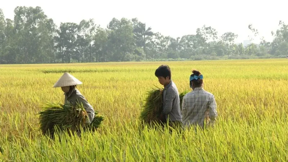 Hình ảnh 1
