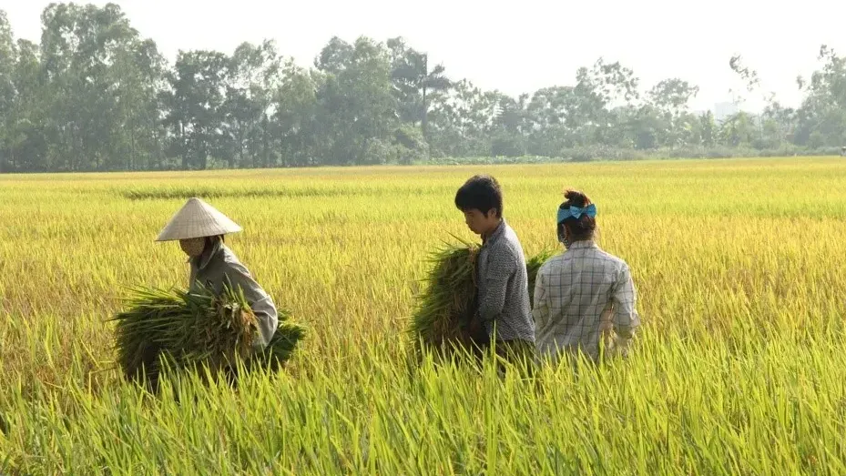 Hình ảnh 1