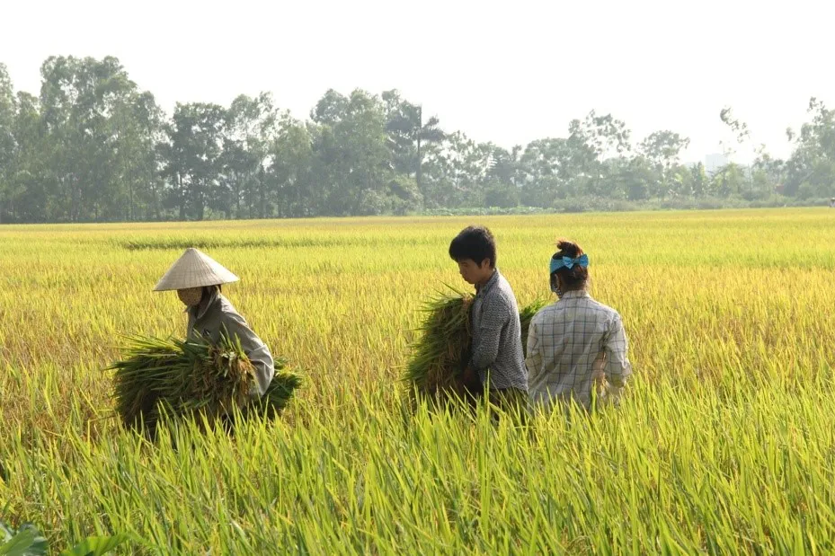 Hình ảnh 1