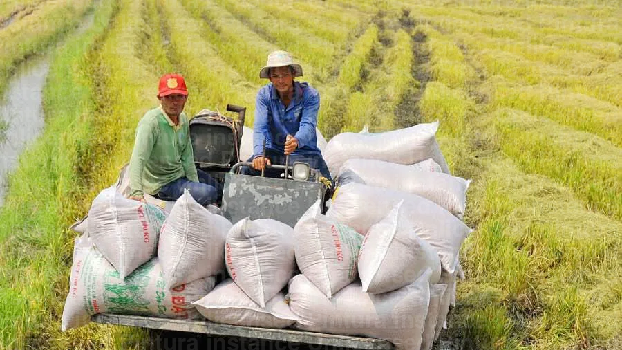 Hình ảnh 1