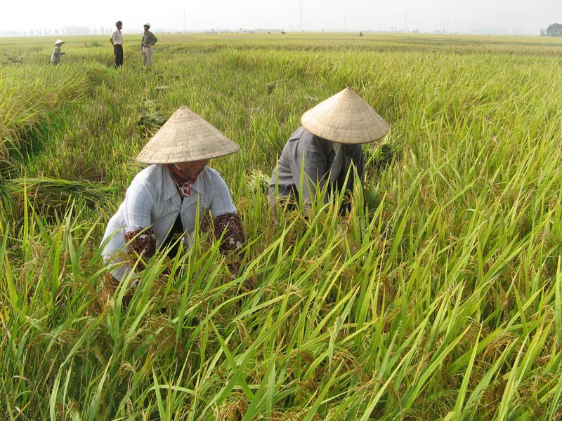 Hình ảnh 1