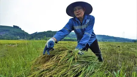 Hình ảnh 1