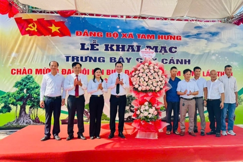 Tam Hưng trưng bày cây cảnh nghệ thuật chào mừng Đại hội Đảng bộ xã 