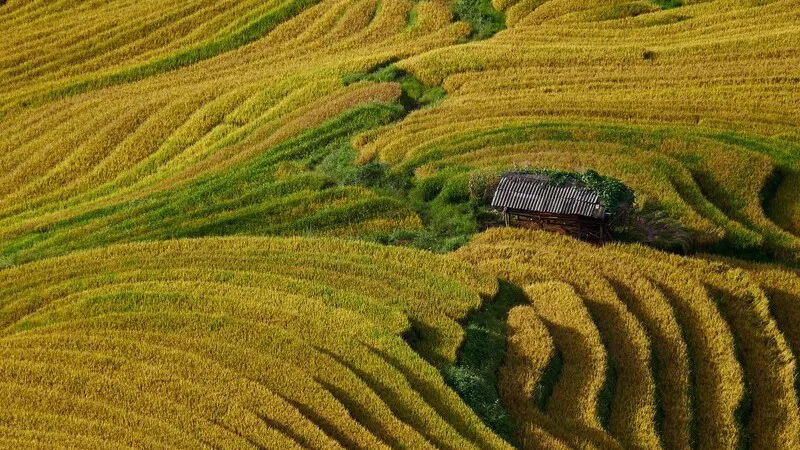 Hình ảnh 1
