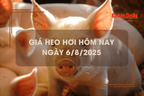 Giá heo hơi hôm nay 6/8: tăng giảm trái chiều