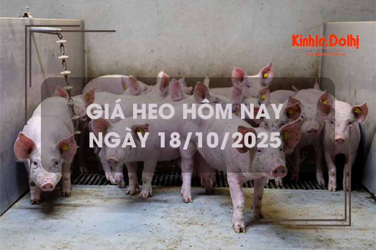 Giá heo hôm nay 18/10: tăng giảm trái chiều