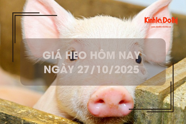 Giá heo hôm nay 27/10: đi ngang ngày đầu tuần