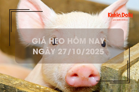 Giá heo hôm nay 27/10: đi ngang ngày đầu tuần