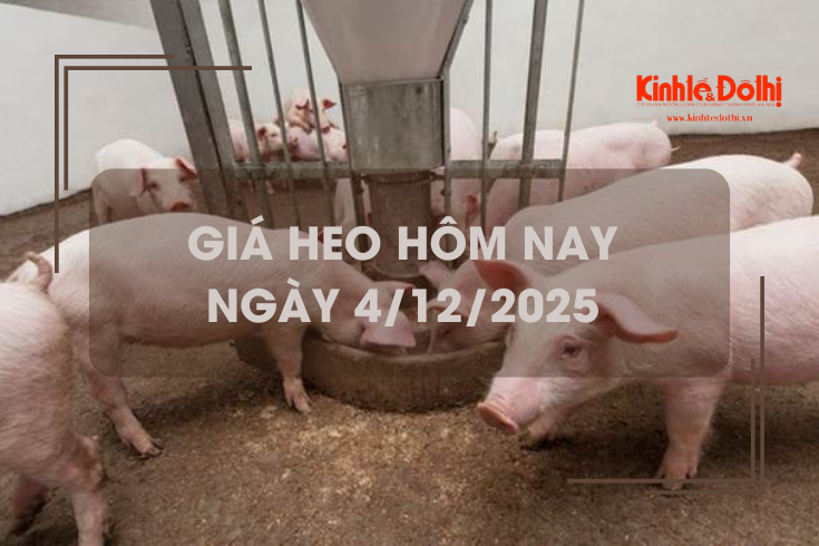 Giá heo hôm nay 4/12: tiếp đà tăng trên cả nước