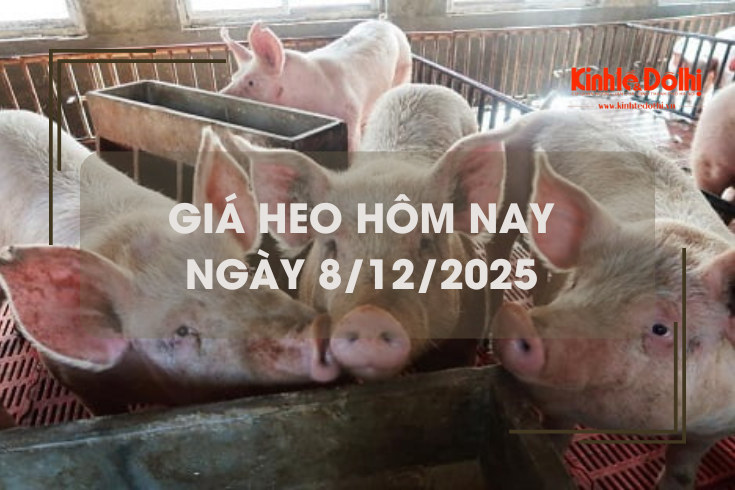 Giá heo hôm nay 8/12: tăng giảm trái chiều