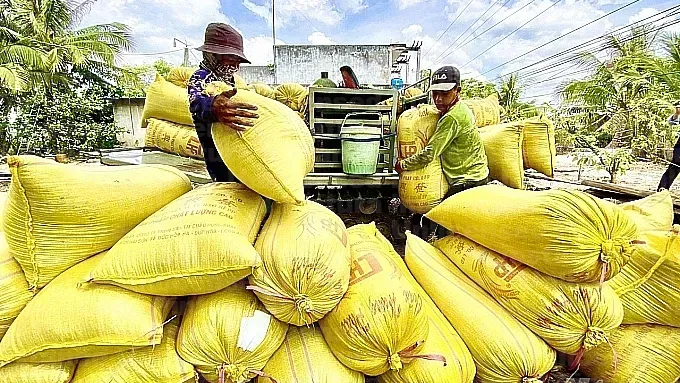 Hình ảnh 1