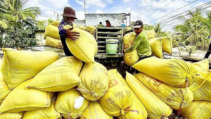 Hình ảnh 1