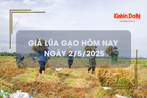 Giá lúa gạo hôm nay 2/5: thị trường trầm lắng
