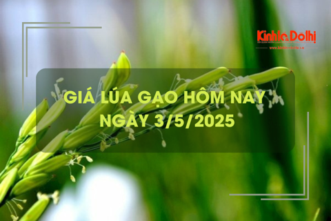 Giá lúa gạo hôm nay 3/5: bình ổn trong dịp nghỉ lễ
