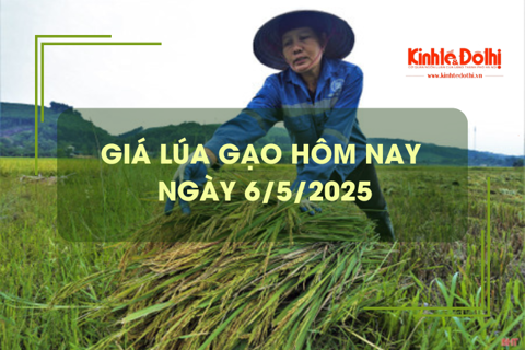 Giá lúa gạo hôm nay 6/5: gạo nguyên liệu bật tăng
