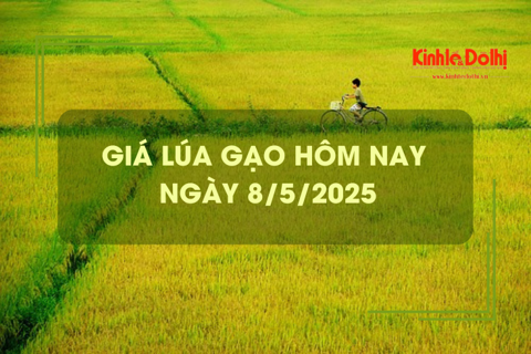 Giá lúa gạo hôm nay 8/5: lúa tươi tiếp đà giảm
