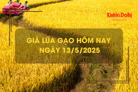 Giá lúa gạo hôm nay 13/5: giá gạo bật tăng
