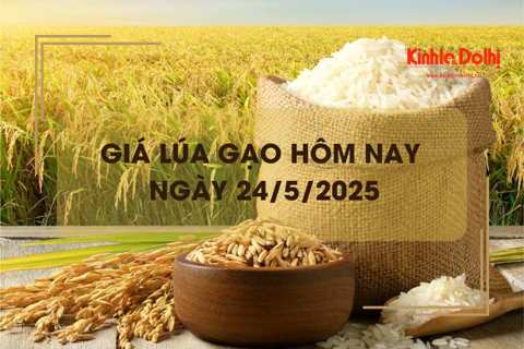 Giá lúa gạo hôm nay 24/5: đồng loạt giảm nhẹ