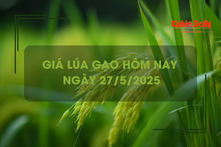 Giá lúa gạo hôm nay 27/5: giao dịch ổn định