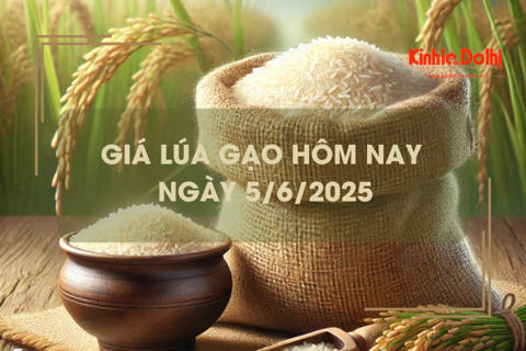 Giá lúa gạo hôm nay 5/6: gạo tăng lúa giảm